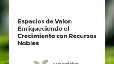 Espacios de Valor: Enriqueciendo el Crecimiento con Recursos Nobles